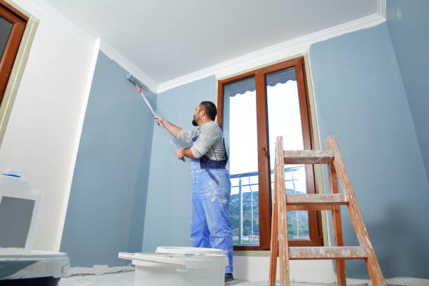  Madelia, MN Mold Removal Pros