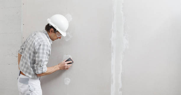 Best Mold Odor Removal Services  in Madelia, MN