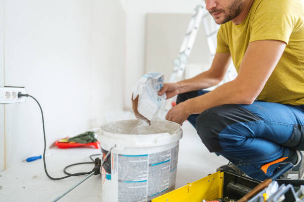 Best Commercial Mold Inspection  in Madelia, MN