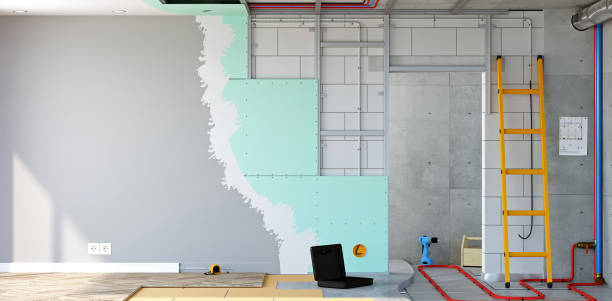 Best Comprehensive Air Testing for Mold Contaminants  in Madelia, MN