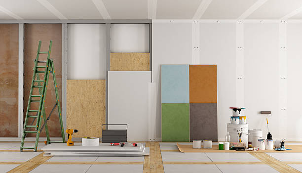 Best Real Estate Mold Inspection  in Madelia, MN