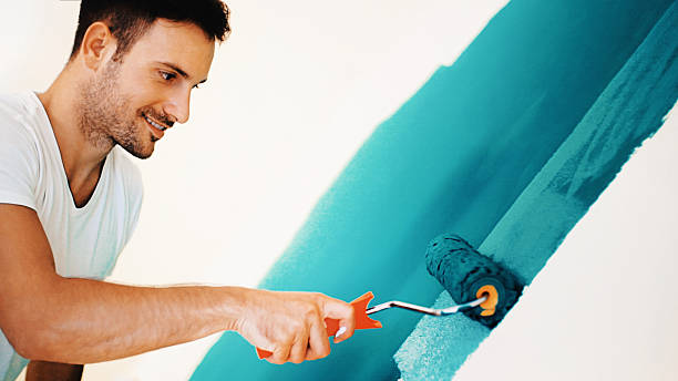 Best Mold Removal for HVAC Installations  in Madelia, MN