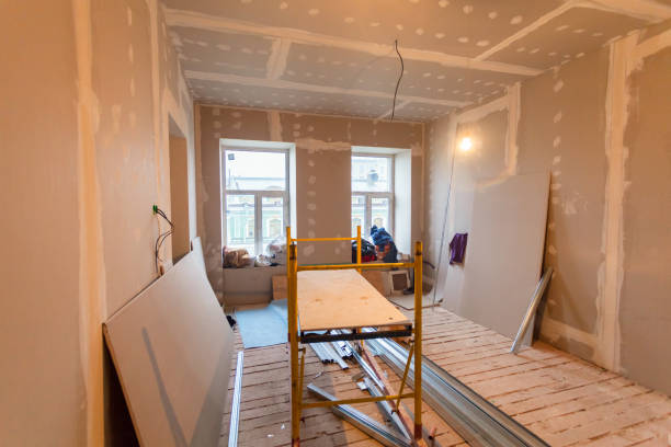 Best Water Damage & Mold Remediation  in Madelia, MN